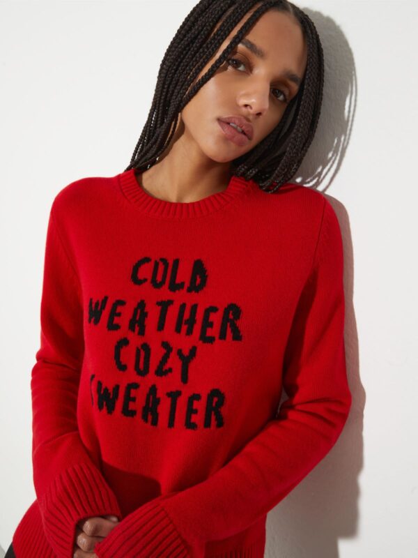 P. Terzini &Co.llaboration jumper - Slika 3